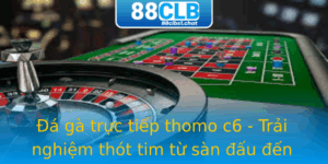 Đá gà trực tiếp thomo c6 - Trải nghiệm thót tim từ sàn đấu đến màn hình 3 A Ga Truc Tiep Thomo C6 Trai Nghiem Thot Tim Tu San Au En Man Hinh