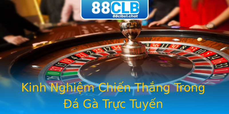 Kinh Nghiệm Chiến Thắng Trong Đá Gà Trực Tuyến Kinh Nghiệm Chiến Thắng Trong Đá Gà Trực Tuyến