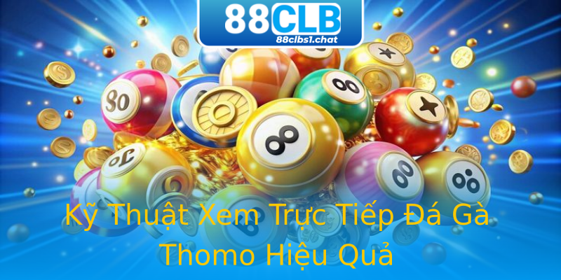 Kỹ Thuật Xem Trực Tiếp Đá Gà Thomo Hiệu Quả Kỹ Thuật Xem Trực Tiếp Đá Gà Thomo Hiệu Quả