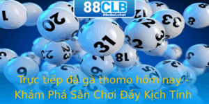 Trực tiếp đá gà thomo hôm nay - Khám Phá Sân Chơi Đầy Kịch Tính 2 Truc Tiep A Ga Thomo Hom Nay Kham Pha San Choi Ay Kich Tinh